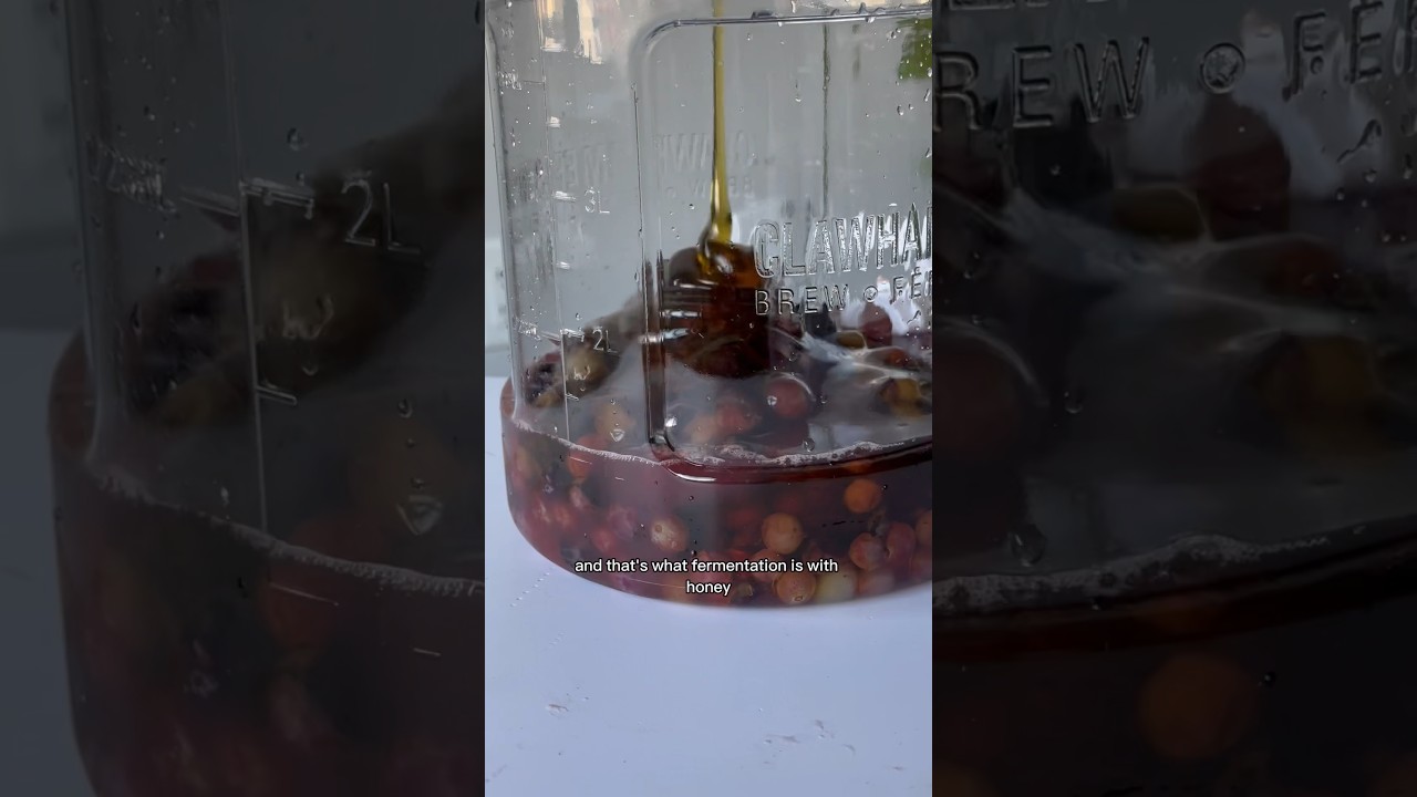 How Grapes Turn into Wine: The Transformation Explained 1 how does grapes turn into wine